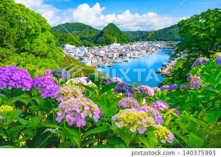 Early morning during a break in the rainy season, a breathtaking view of the blue sea and townscape of Shimoda Port from Shimoda Park, where hydrangeas are in bloom, uninhabited. Early morning during a break in the rainy season, a breathtaking view of the blue sea and townscape of Shimoda Port from Shimoda Park, where hydrangeas are in bloom, uninhabited. 140375993