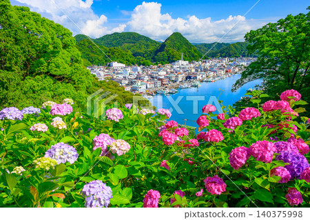 Early morning during a break in the rainy season, a breathtaking view of the blue sea and townscape of Shimoda Port from Shimoda Park, where hydrangeas are in bloom, uninhabited. 140375998