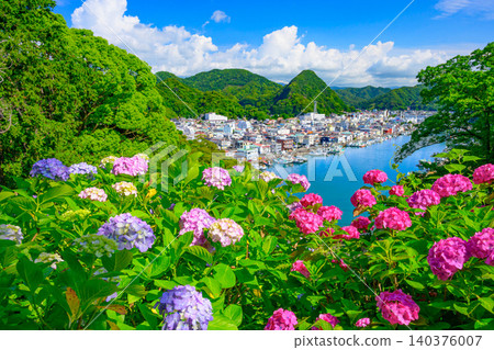 Early morning during a break in the rainy season, a breathtaking view of the blue sea and townscape of Shimoda Port from Shimoda Park, where hydrangeas are in bloom, uninhabited. Early morning during a break in the rainy season, a breathtaking view of the blue sea and townscape of Shimoda Port from Shimoda Park, where hydrangeas are in bloom, uninhabited. 140376007