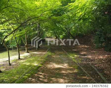 A nature trail A nature trail 140376382