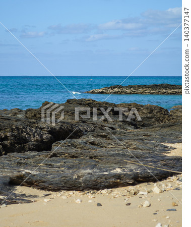 沖繩的岩石海岸線(垂直構圖) 沖繩的岩石海岸線(垂直構圖) 140377147
