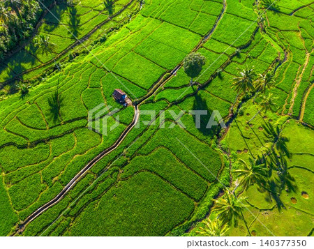 Beautiful morning view in Indonesia, panoramic landscape of rice fields with mountain ranges and clear sky Beautiful morning view in Indonesia, panoramic landscape of rice fields with mountain ranges and clear sky 140377350