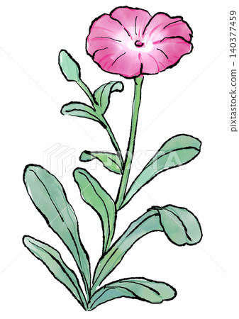 Hand-drawn line art and watercolor illustration of blooming narcissus flowers Hand-drawn line art and watercolor illustration of blooming narcissus flowers 140377459