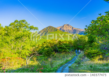 【山梨縣】包括赤岳在內的八嶽山脈在晨曦中熠熠生輝（人們正前往登山） 140377473