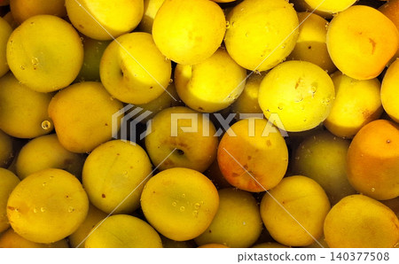 A photo of a tree full of yellow plums. A photo of a tree full of yellow plums. 140377508