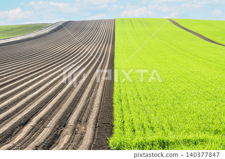 Cleared farmland (agricultural image) Cleared farmland (agricultural image) 140377847