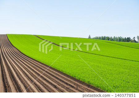 Cleared farmland (agricultural image) Cleared farmland (agricultural image) 140377851