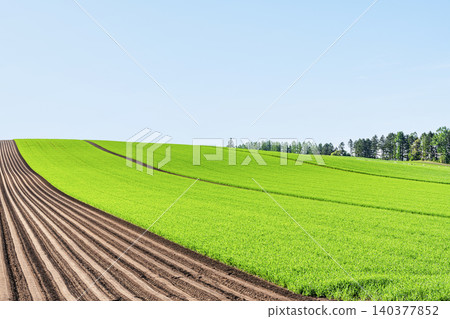 Cleared farmland (agricultural image) Cleared farmland (agricultural image) 140377852