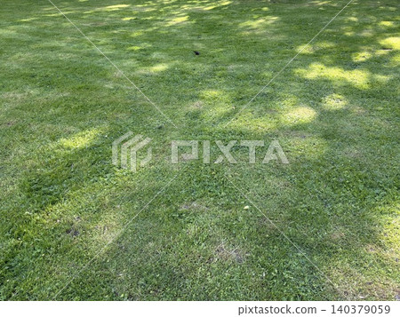 a lush, green grassy lawn bathed in dappled sunlight. A peaceful, natural outdoor setting on a bright, sunny day. a lush, green grassy lawn bathed in dappled sunlight. A peaceful, natural outdoor setting on a bright, sunny day. 140379059
