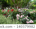 Mitsubishi Ichigokan Museum Rose Garden 140379982