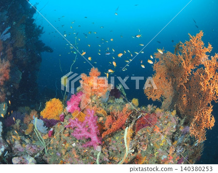 The underwater scenery of Ito, adorned with vibrant soft corals. The underwater scenery of Ito, adorned with vibrant soft corals. 140380253