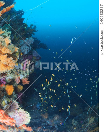 小魚群在伊藤礁和蔚藍的大海周圍游弋。 小魚群在伊藤礁和蔚藍的大海周圍游弋。 140380257