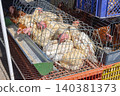 Chickens Cages Farmers Market 140381373