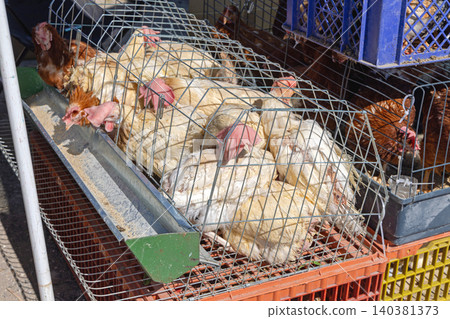 Chickens Cages Farmers Market 140381373