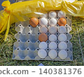 Eggs in Carton Hay 140381376