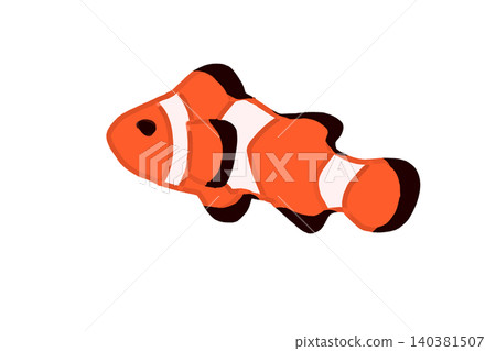 Simple and stylish, a relaxed illustration of a clownfish. Simple and stylish, a relaxed illustration of a clownfish. 140381507