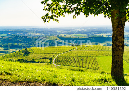 Vineyards on hills, Jura wine region, Bourgogne-Franche-Comte in eastern France. 140381892