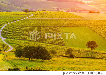 Vineyards at sunset, Jura wine region, Bourgogne-Franche-Comte in eastern France. 140382032