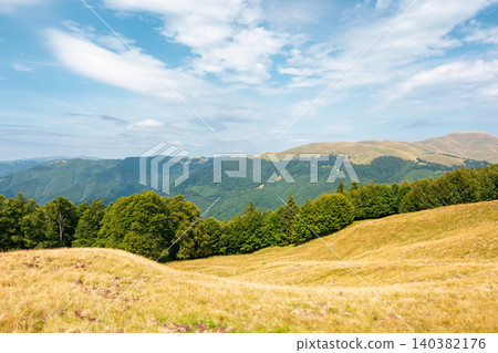 carpathian mountain field in afternoon light. view of countryside summertime landscape with valley behind the forest on the hill. clouds on a bright blue sky. travel background for hiking season carpathian mountain field in afternoon light. view of countryside summertime landscape with valley behind the forest on the hill. clouds on a bright blue sky. travel background for hiking season 140382176