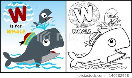 Coloring book of whale in sailor cap Coloring book of whale in sailor cap 140382438