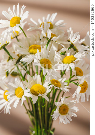 Daisy bouquet in warm sunlight, natural floral background Daisy bouquet in warm sunlight, natural floral background 140382669