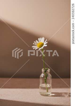 Single daisy in glass bottle with sunlight shadow, minimalist wellness concept 140382726