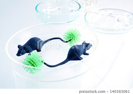 Mice models researching virus spread and infectious disease Mice models researching virus spread and infectious disease 140383061