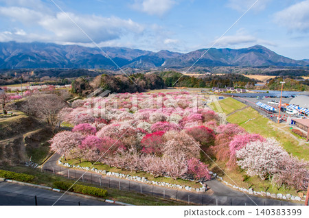稻部市農業公園「梅花節」（三重縣稻部市） 140383399