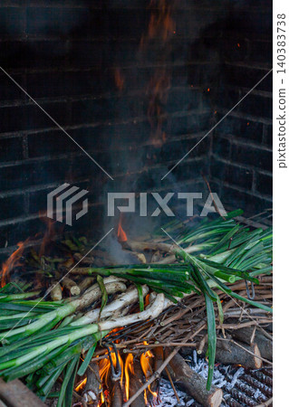 Grilled Typical Catalonian Food, Calcots Cooking Over Open Fire Grilled Typical Catalonian Food, Calcots Cooking Over Open Fire 140383738