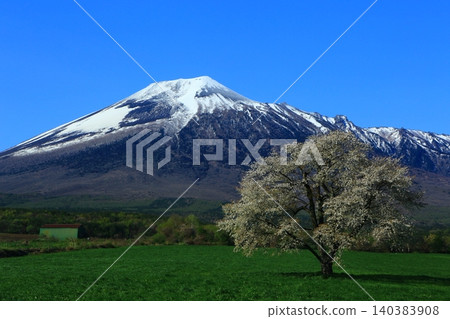 Mount Iwate stands out against the spring blue sky. Mount Iwate stands out against the spring blue sky. 140383908