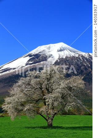 Mount Iwate stands out against the spring blue sky. Mount Iwate stands out against the spring blue sky. 140383917