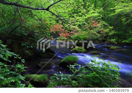The beautiful Oirase Gorge with fresh greenery 140383979