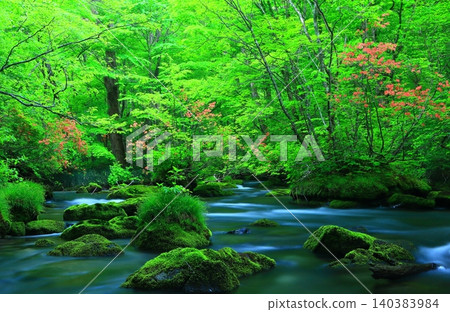 美麗的奧入瀨溪谷，綠意盎然 140383984