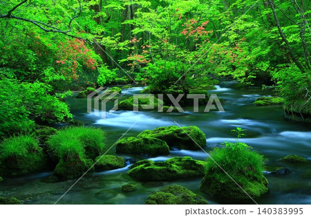 美麗的奧入瀨溪谷,綠意盎然 美麗的奧入瀨溪谷,綠意盎然 140383995
