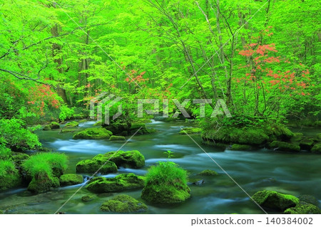 The beautiful Oirase Gorge with fresh greenery The beautiful Oirase Gorge with fresh greenery 140384002