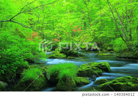 The beautiful Oirase Gorge with fresh greenery The beautiful Oirase Gorge with fresh greenery 140384012