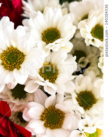 White little flowers with yellow centers closely arranged together, decorative background for design. Red flowers providing contrast. Fresh and vibrant bouquet, natural beauty White little flowers with yellow centers closely arranged together, decorative background for design. Red flowers providing contrast. Fresh and vibrant bouquet, natural beauty 140384336