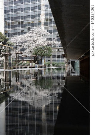 Cherry blossoms of Toranomon Kotohira Shrine reflected in the water. Cherry blossoms of Toranomon Kotohira Shrine reflected in the water. 140384365