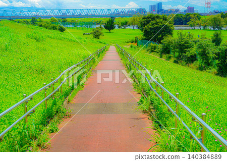 江戶川河床(松戶市矢切) 江戶川河床(松戶市矢切) 140384889