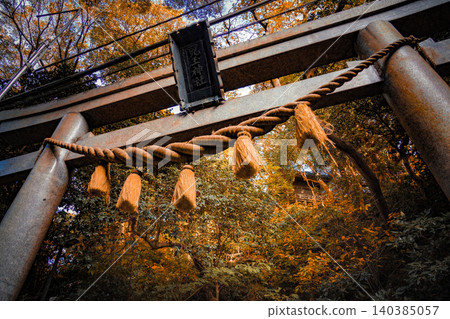 Autumn-colored torii gate and shrine building Autumn-colored torii gate and shrine building 140385057