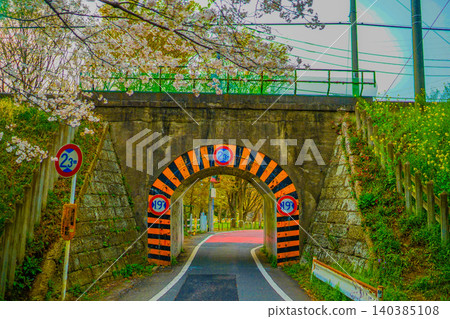 櫻花拱形隧道 140385108
