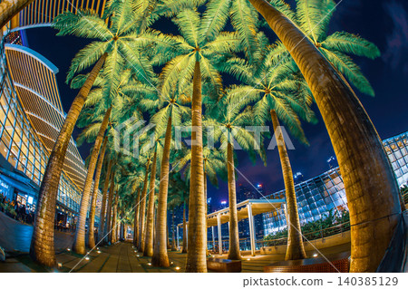 Singapore night view and palm tree lined streets Singapore night view and palm tree lined streets 140385129