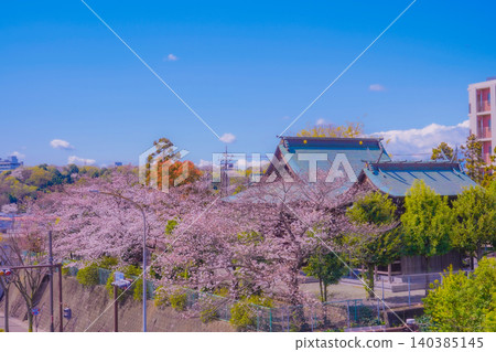 Spring scenery of cherry blossoms and shrine buildings Spring scenery of cherry blossoms and shrine buildings 140385145