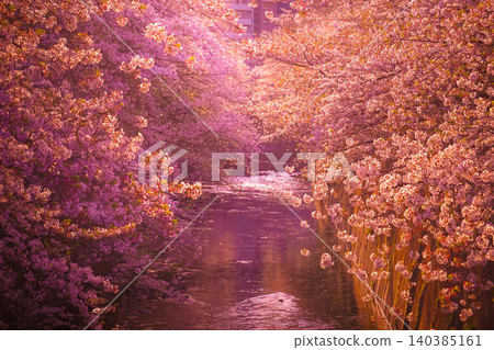 Cherry blossoms and dusk at Kanda River 140385161