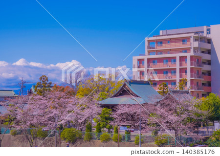 Cherry blossoms, temples, and high-rise apartments Cherry blossoms, temples, and high-rise apartments 140385176