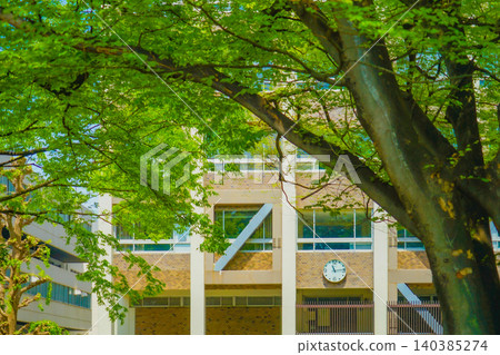 The harmony between the clock tower and the trees 140385274