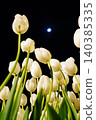 Colorful tulips and the night sky Colorful tulips and the night sky 140385335