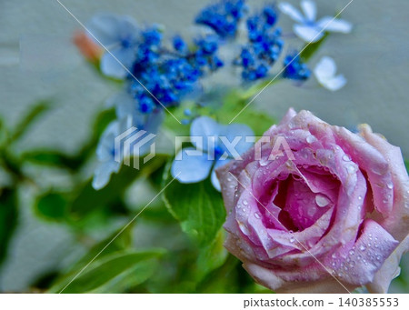 Enjoying the garden in early summer. Enjoying the garden in early summer. 140385553