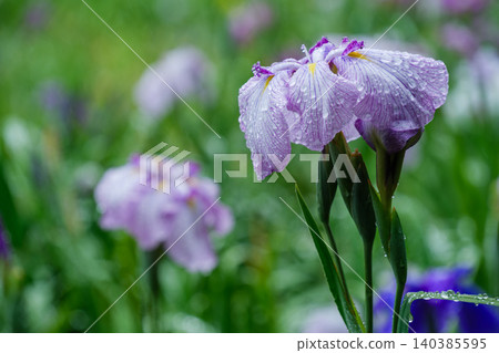 iris drops iris drops 140385595