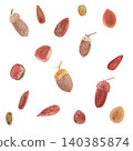A set of many gentle acorns and nuts painted in hand-painted watercolors. 140385874